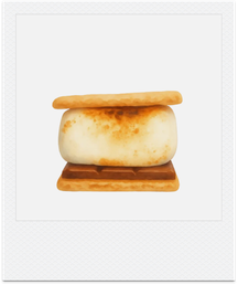 The Classic s'more